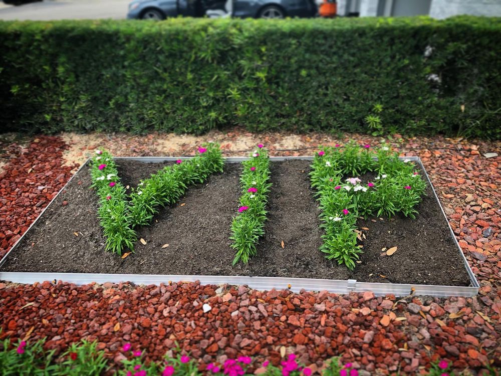 All Photos for TLM Landscape Professionals in Clermont, FL