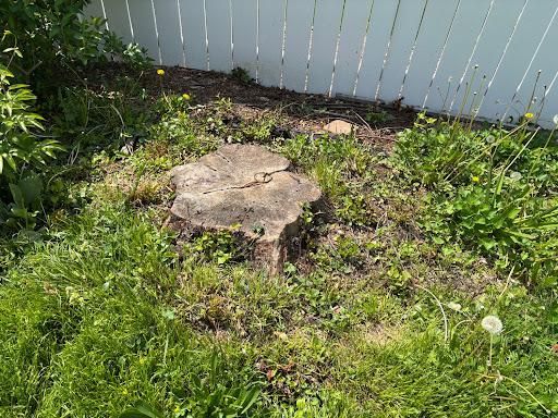 All Photos for Conrad's Stump Removal in Columbus, IN