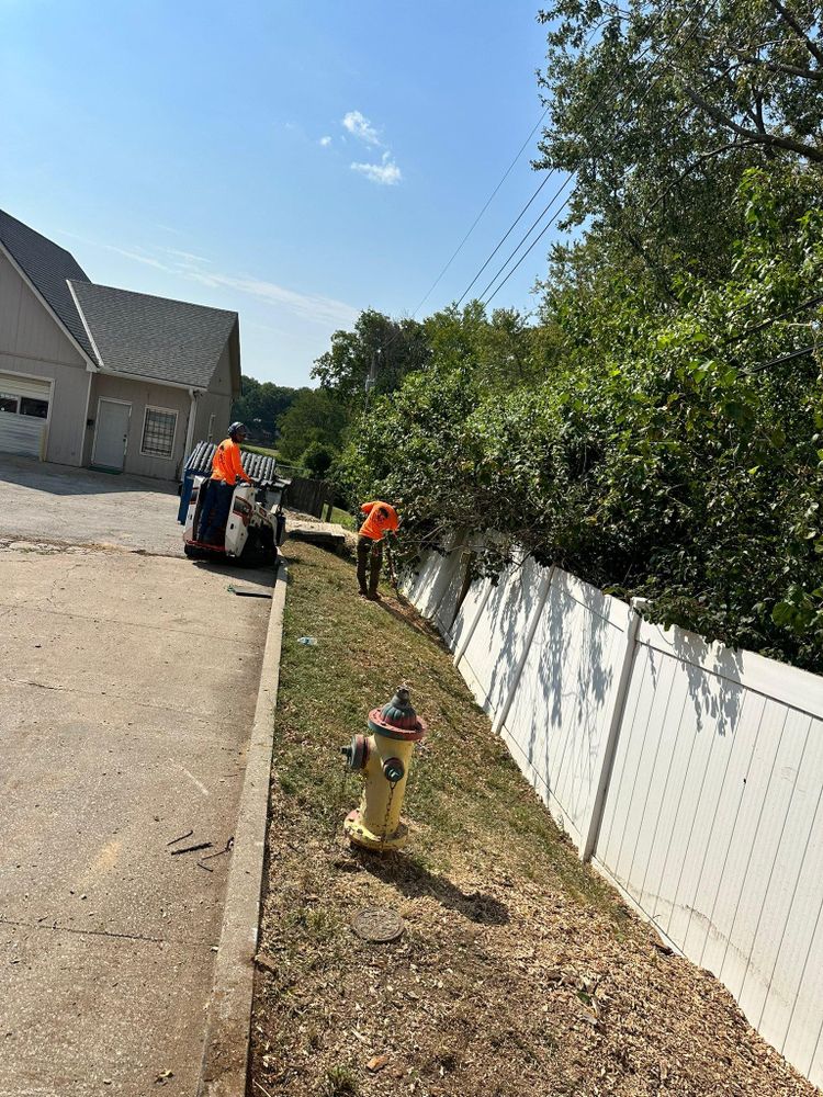 All Photos for Cross Family Tree Service in Kearney, MO