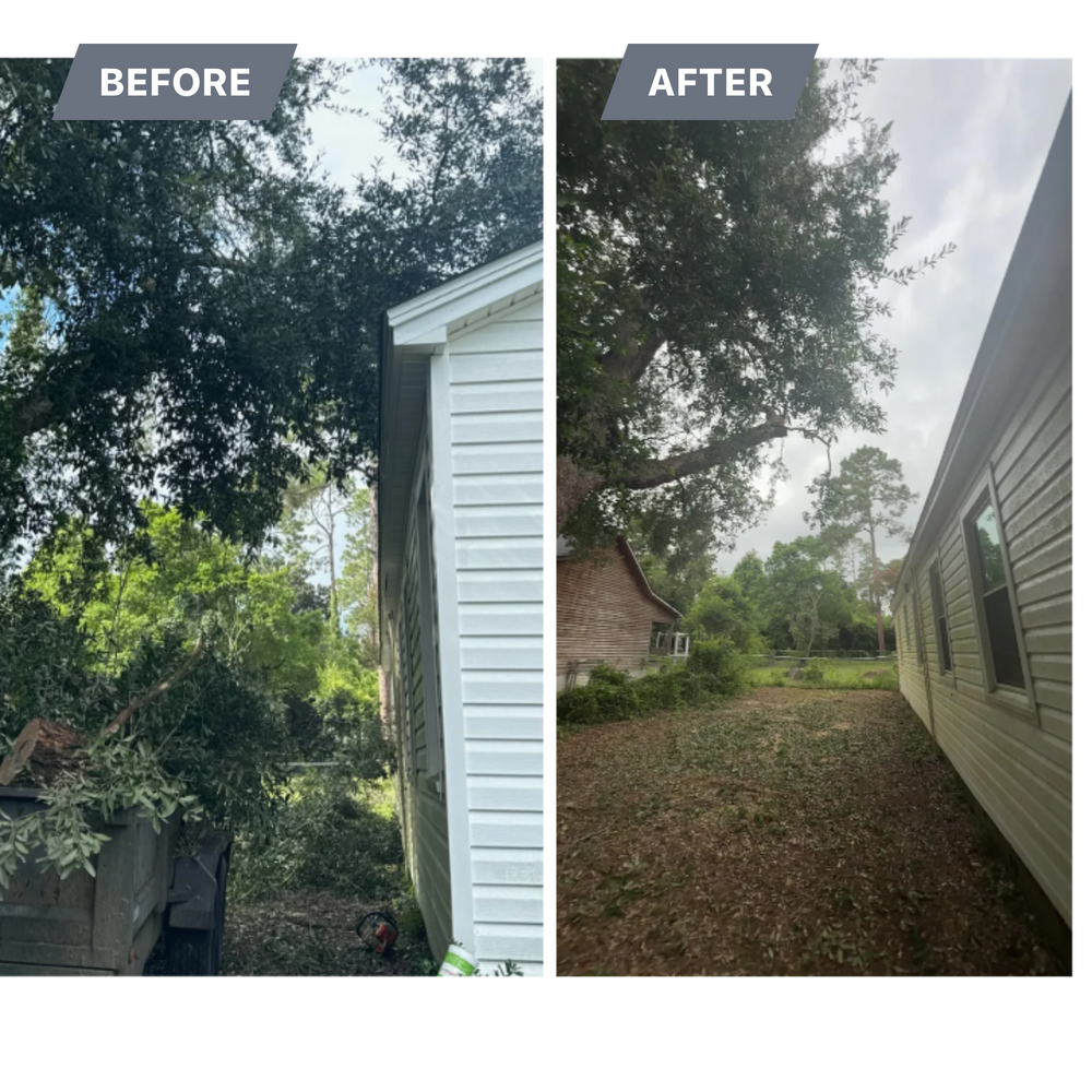 Tree Removal for Hawkins Tree Service & Land Management in Richmond Hill, GA