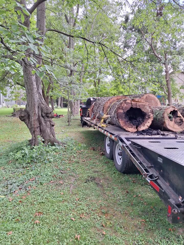 All Photos for Highborn Tree Service in Wheatfield, IN