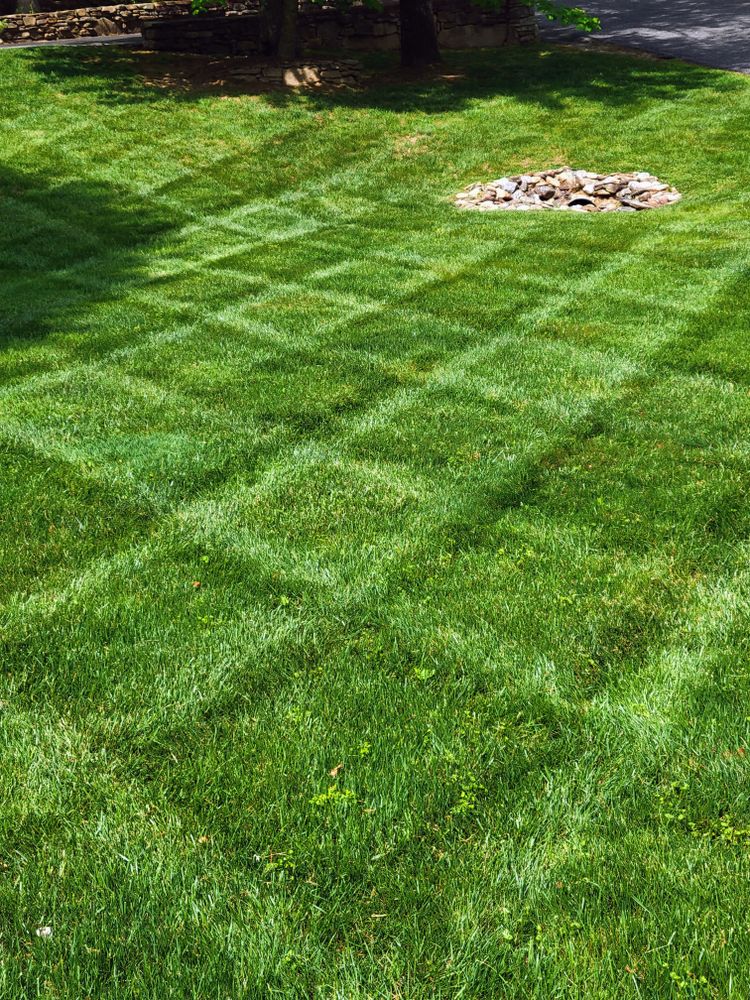 Lawn Maintenance  for C4 TrueVision Renovations in Asheville, NC