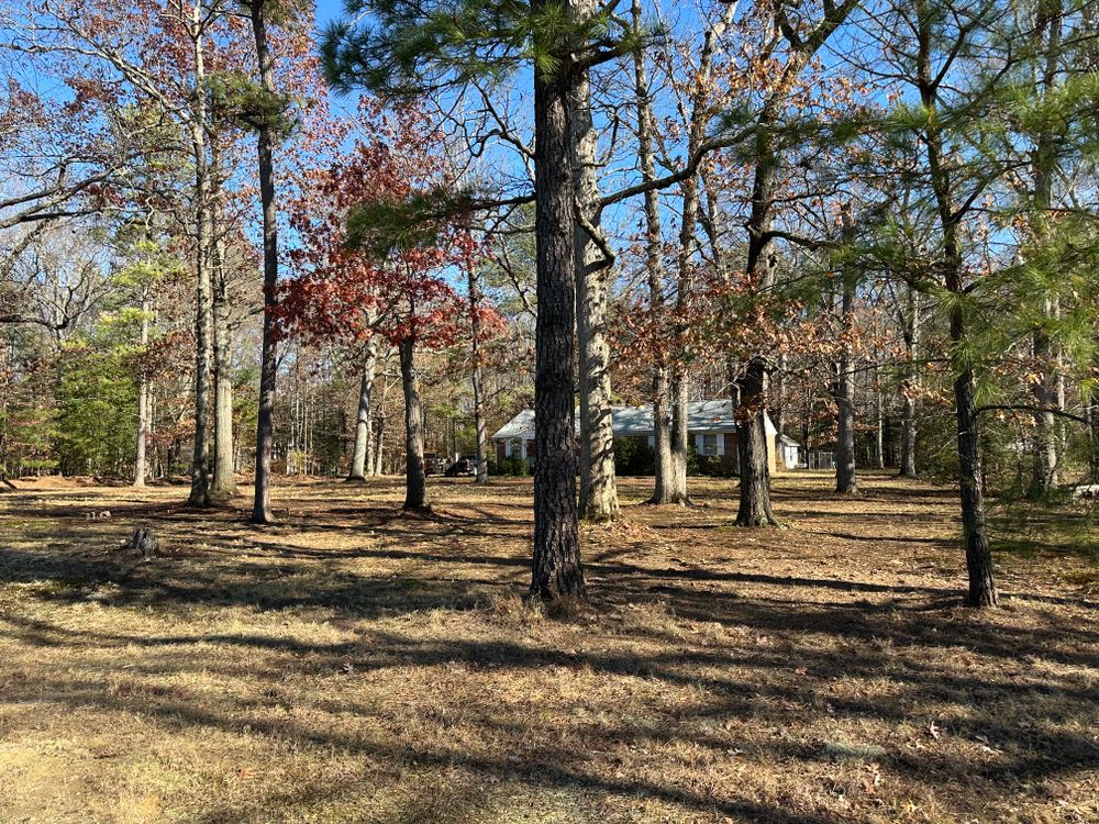 All Photos for Atlas Home Services in Mechanicsville, VA