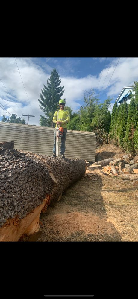 All Photos for Ascension Tree Care LLC in Yakima County, WA