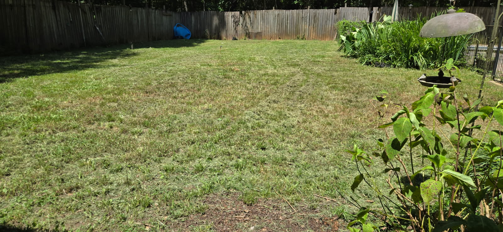 All Photos for Fresh Cut Yard & Lawn Care LLC in Forsyth, GA