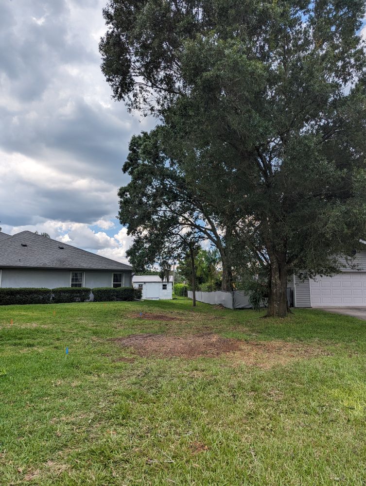All Photos for Regal Tree Service and Stump Grinding in Wauchula, FL