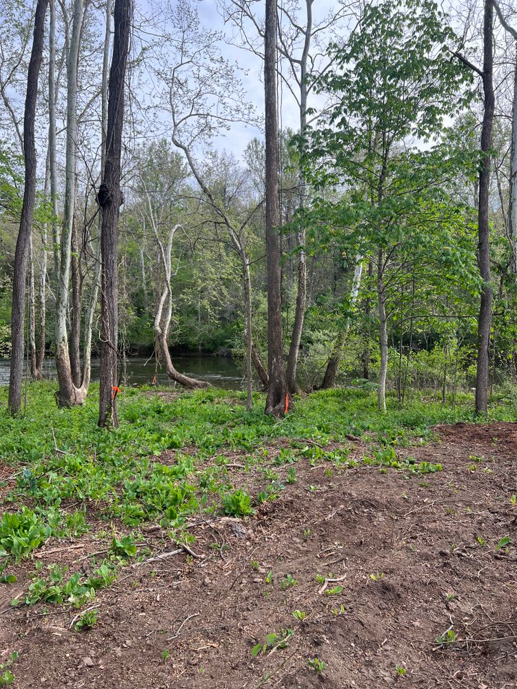 All Photos for Clarke Excavation Co. in Covington, VA