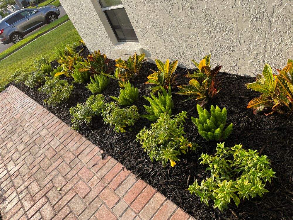 All Photos for Verimay's Garden and Landscaping in Hillsborough County, FL