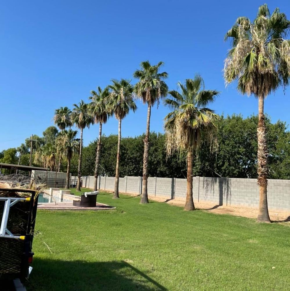 Commercial Lawn Maintenance for American Dream Landscape Company in Surprise, AZ