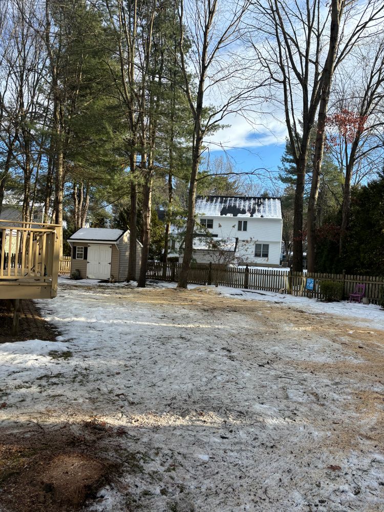 All Photos for T's Trees in Albany, NY