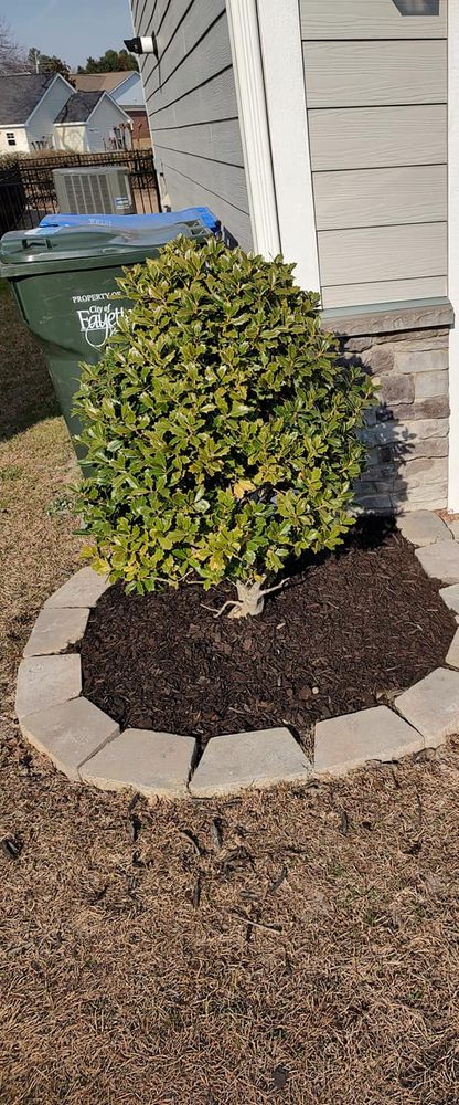 Our Shrub Trimming service ensures that your shrubs are expertly shaped and maintained, enhancing the overall aesthetics of your landscape and adding to your home's curb appeal. for Cutting Edge Lawn Care in Fayetteville, NC