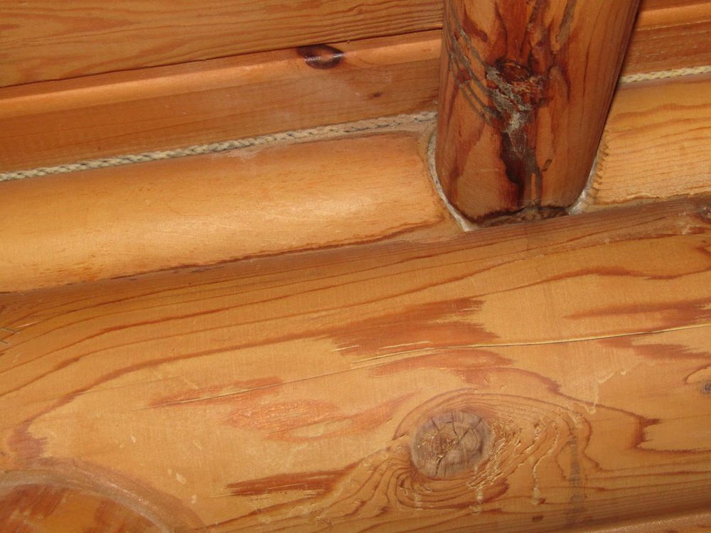 All Photos for Kenneth Fuller in Cleveland, MN