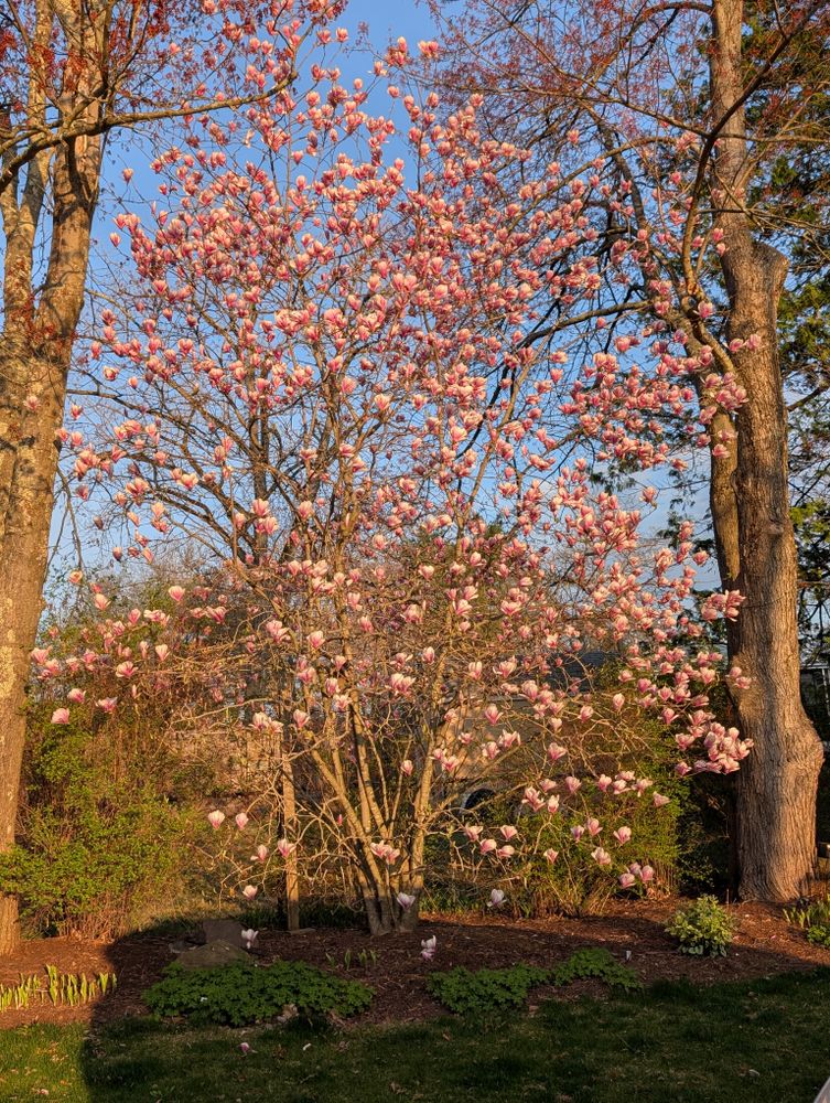 All Photos for Evolution Earthscapes, LLC in Ludlow, MA