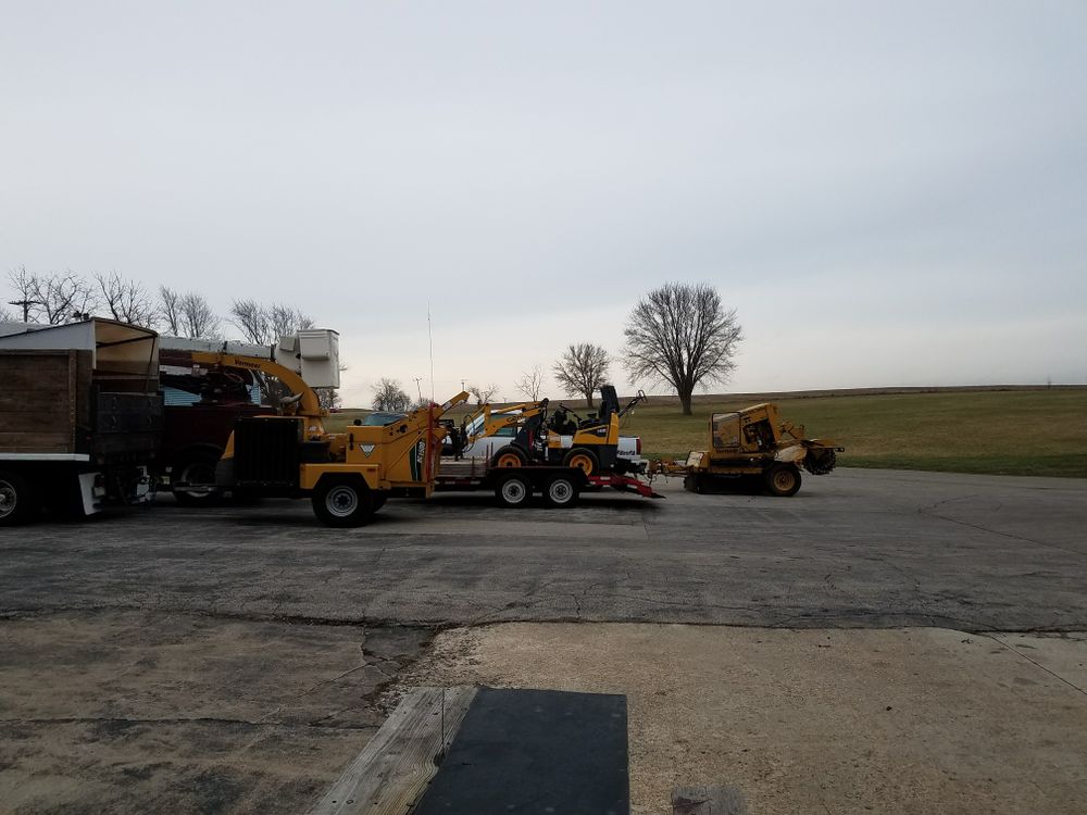 All Photos for O&O Tree Service in Rockford, IL