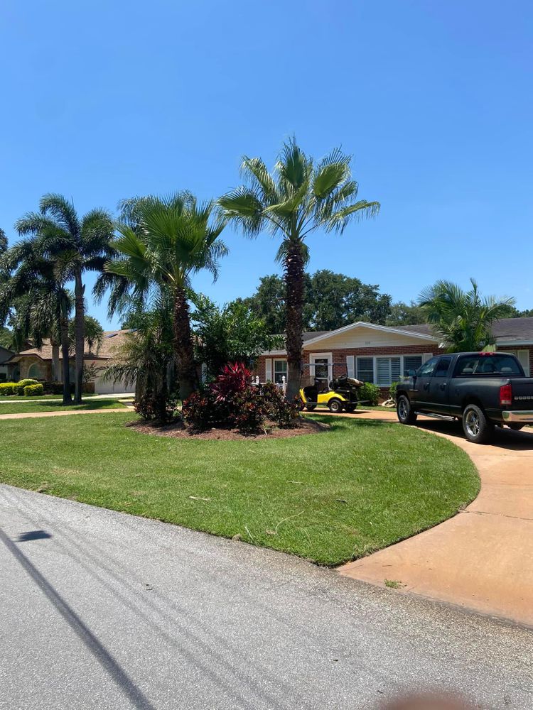 All Photos for Efficient and Reliable Tree Service in Lake Wales, FL