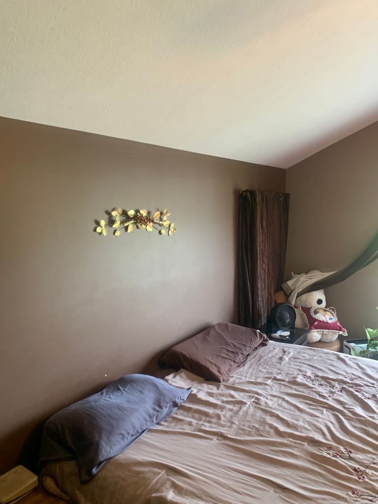 All Photos for Staib & Son Painting & Decorating Llc. in Jackson, MI