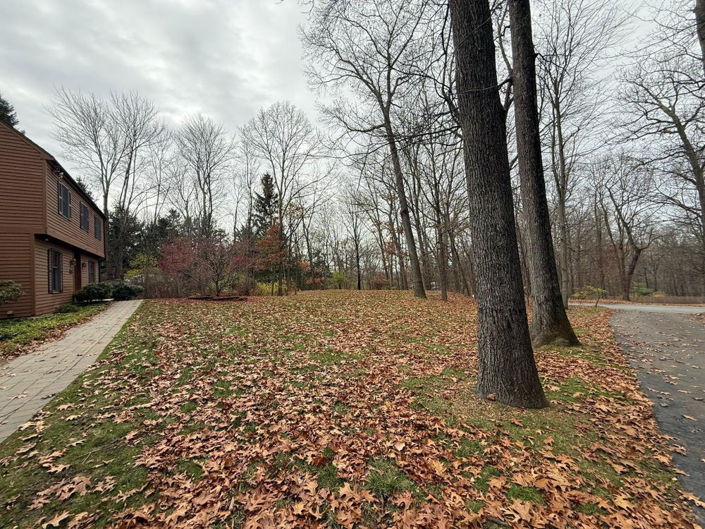 All Photos for Ardisi Property Maintenance LLC in Poughkeepsie, NY 