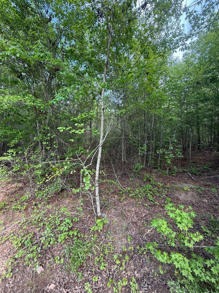 All Photos for KLNAX Enterprises in Newton County, GA