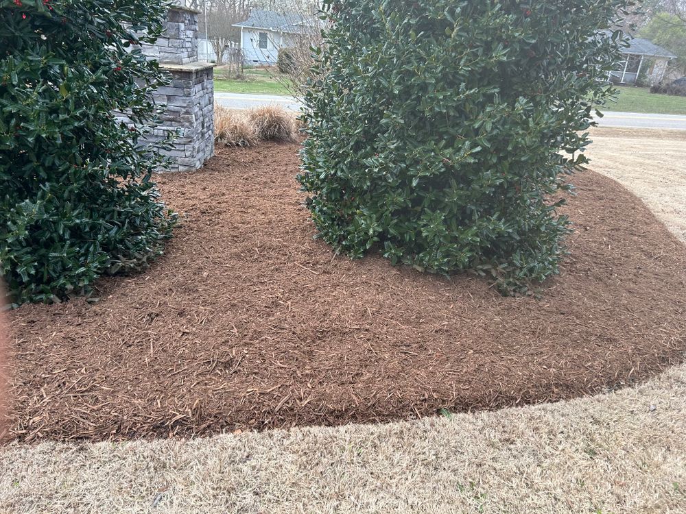 All Photos for Upstate Precision Landscaping in Moore, SC