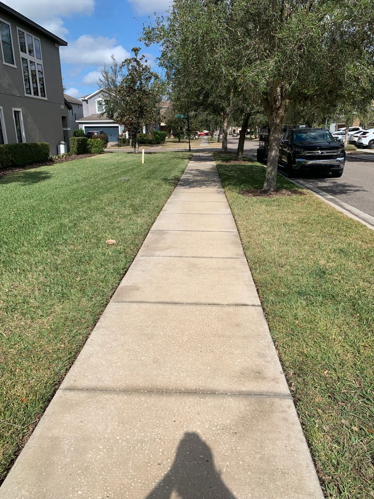 All Photos for Zachs Pressure Washing  in Tampa, FL