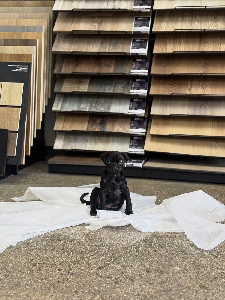 All Photos for Wall To Wall Flooring in Fort Worth, TX