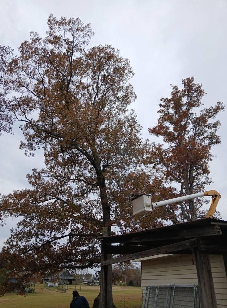 All Photos for Whiskey Ridge Mulching & Land Services in South Boston, VA