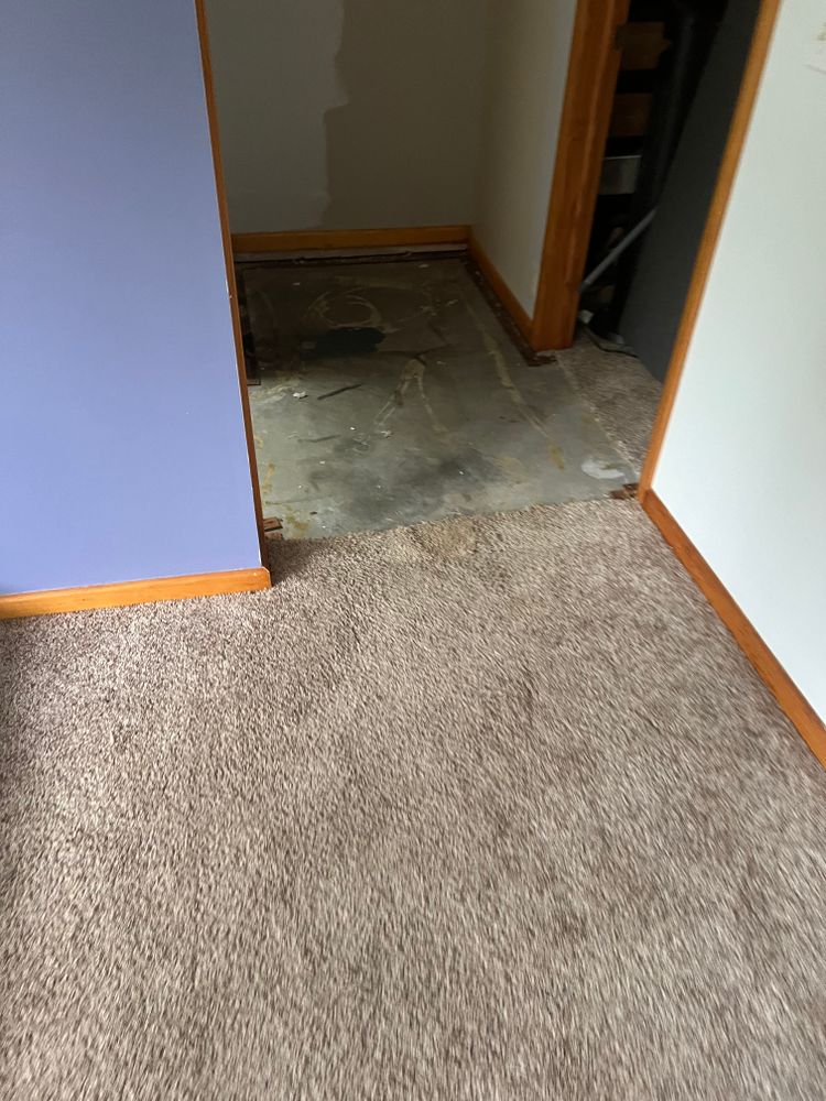 All Photos for Dib 896 Flooring in Dearborn Heights, MI