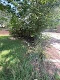 All Photos for Oviedo Land & Garden in Bastrop, TX