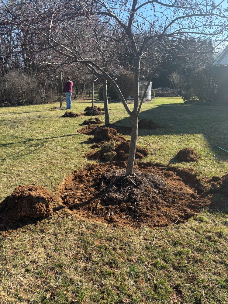 All Photos for Backyard Acres Lawncare LLC in Chambersburg, PA