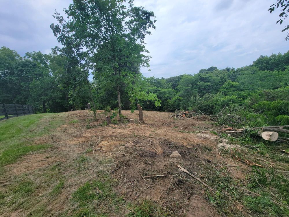 Land Clearing for Patterson Excavation in Dry Ridge, KY