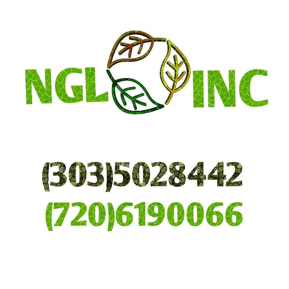 Landscaping for NGL Landscape Company in Denver, CO