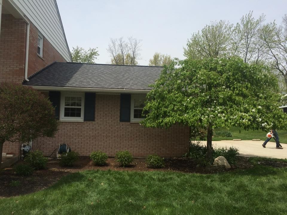 All Photos for Precision Tree Service, Inc. in Ryland Heights, KY