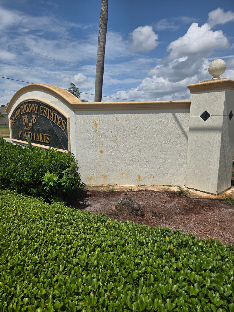 All Photos for Above the Lawn Cuts and Pressure Washing in Sebring, FL