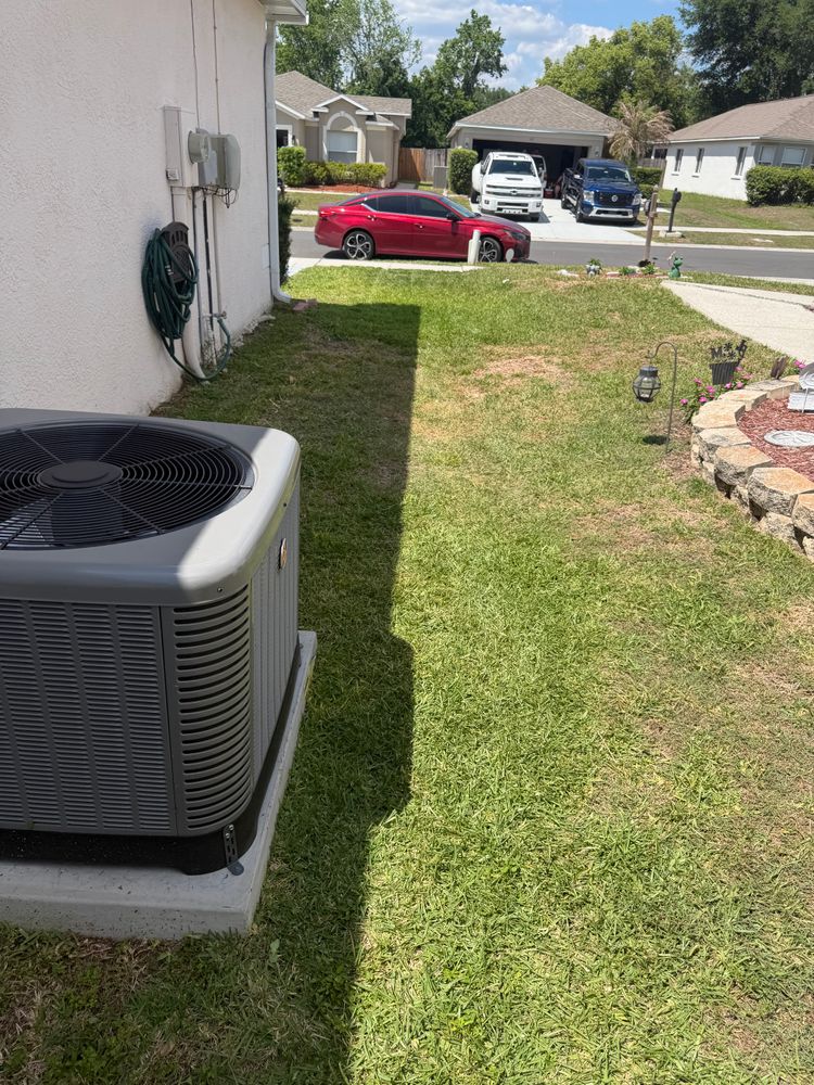 All Photos for The Yardman in Tampa, FL
