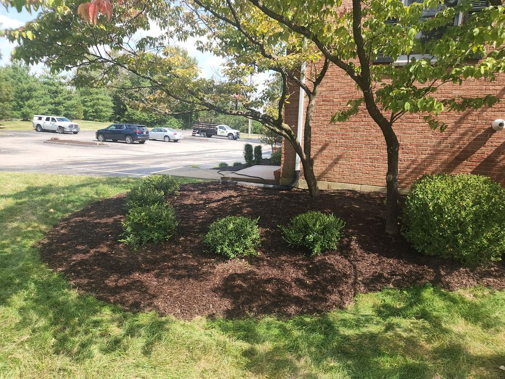 Enhance your garden's health and curb appeal with our expert mulch installation service, providing nutrient-rich coverage that conserves moisture, reduces weed growth, and improves soil quality for a beautiful landscape year-round. for Contemporary Landscape in St. Louis, MO