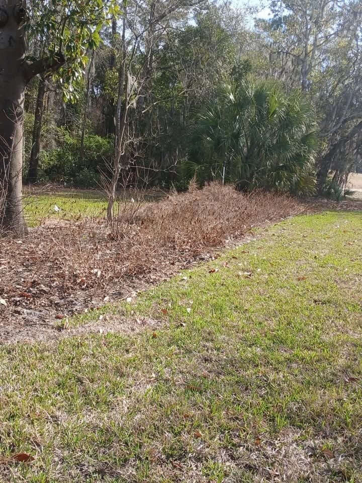 All Photos for Whole 9 Yards Services LLC in Green Cove Springs, FL