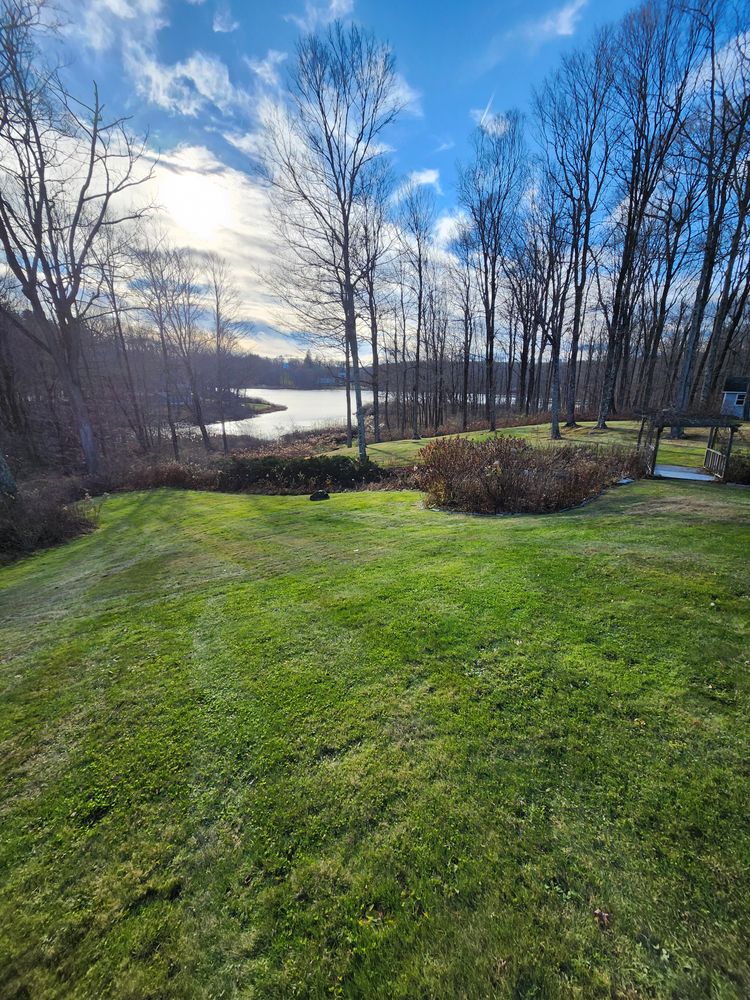 Spring & Fall Cleanups for Landscape Innovations LLC in Torrington, CT