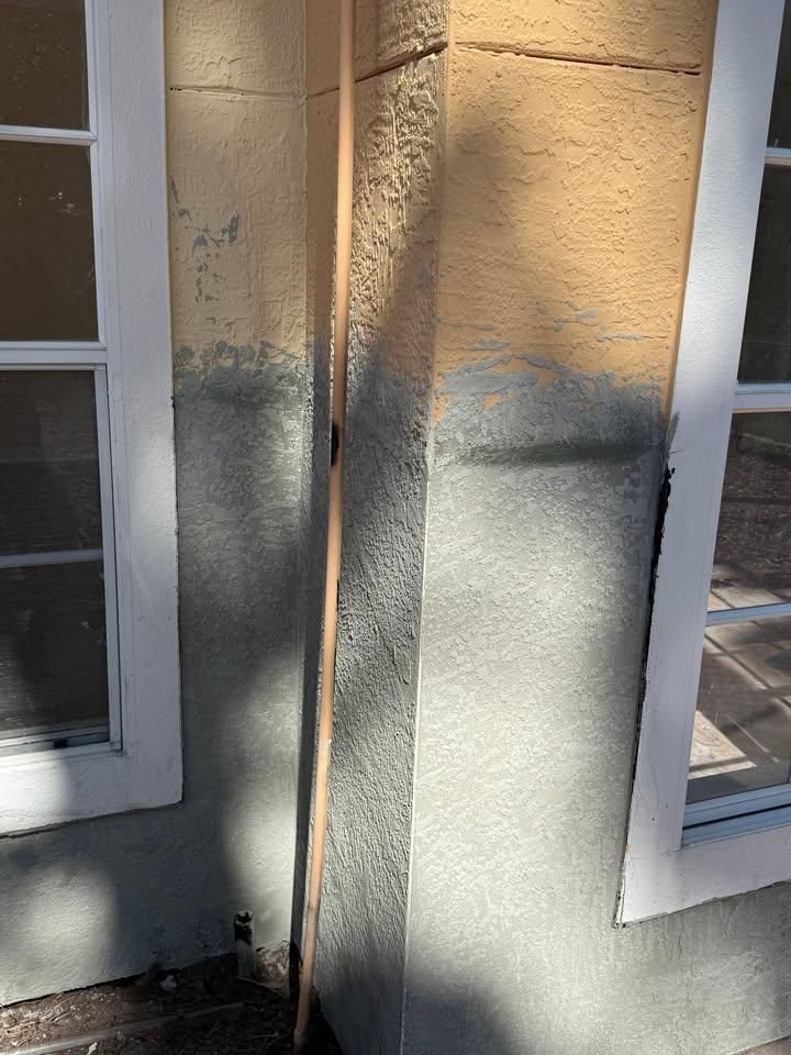 All Photos for Escorpio Painting in Tampa, FL