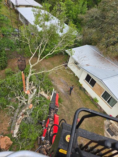 Tree Removal for Near Me Tree Service, Inc. in DeLand, FL