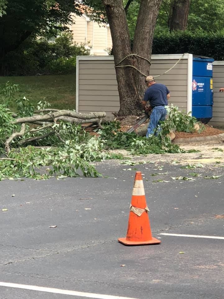 Tree Removal for North Meck Tree & Grounds Specialist in Huntersville, NC