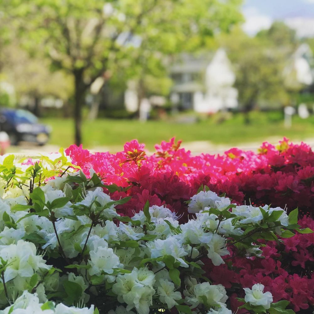 LGZ Landscaping LLC team in Belleville, NJ - people or person