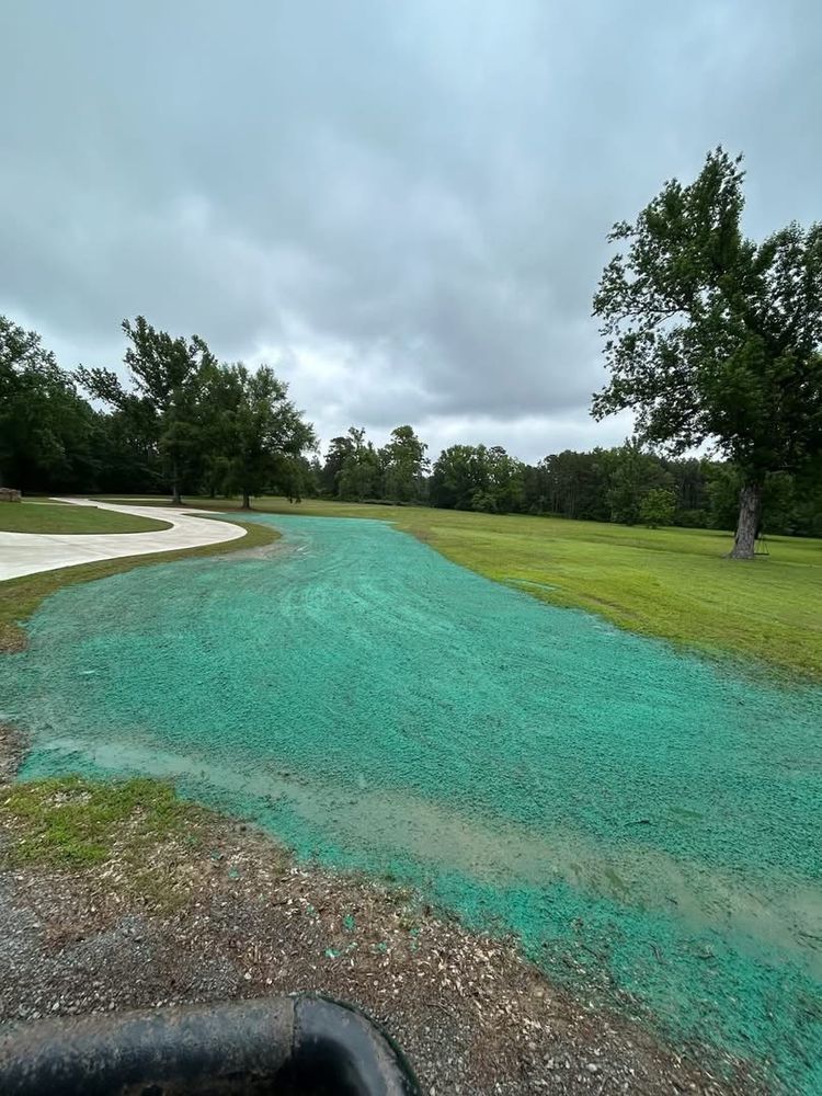 Hydroseeding for Deeply Rooted Lawns – Hydroseeding & Sod Installation Services in Winder, GA