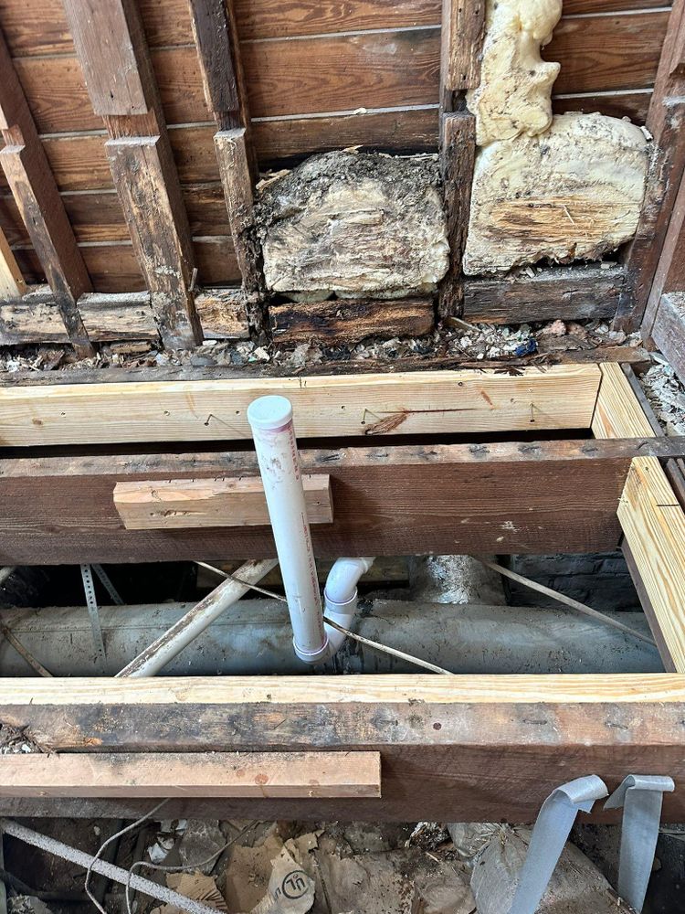 All Photos for The Golden Plumber in Pensacola, FL