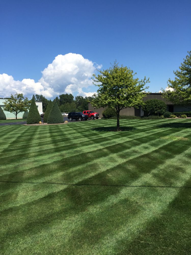 All Photos for Greenscape Lawns in Montague, MI