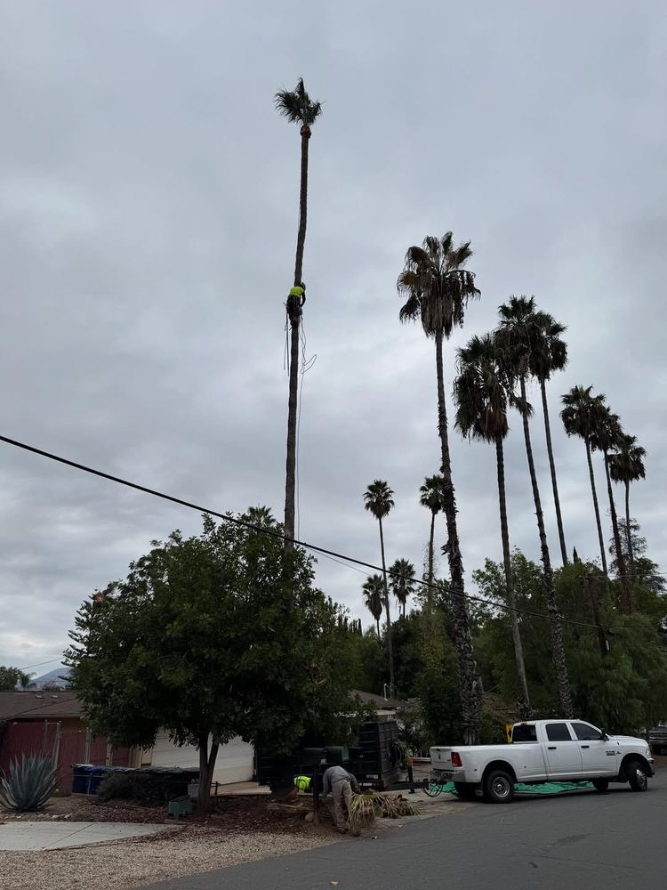 Herreras Land Service team in San Diego, CA - people or person