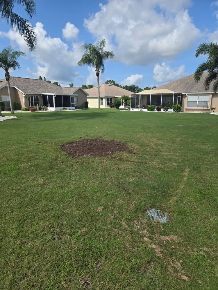 All Photos for TREE BOYS in Ruskin, FL
