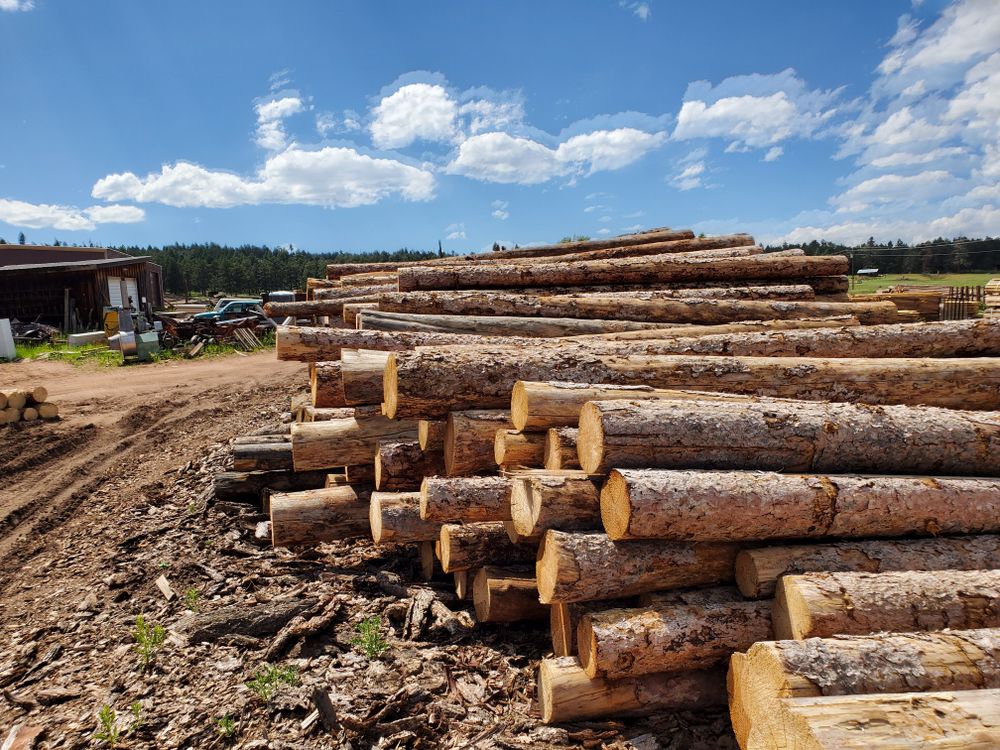 All Photos for Mountain View Association LLC. in Colorado Springs, CO