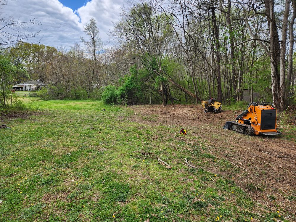 All Photos for Smith Tree Experts in Palmyra, VA