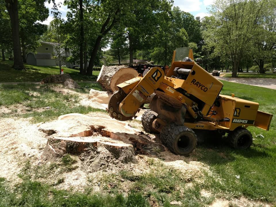 Landscaping for Keane Lawn Care & Snow Removal in Spring Lake Park, MN