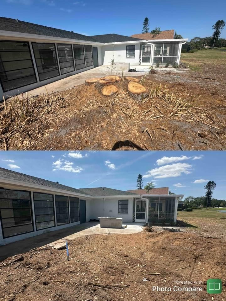 All Photos for Adam's Tree and Stump Care in Sarasota, FL